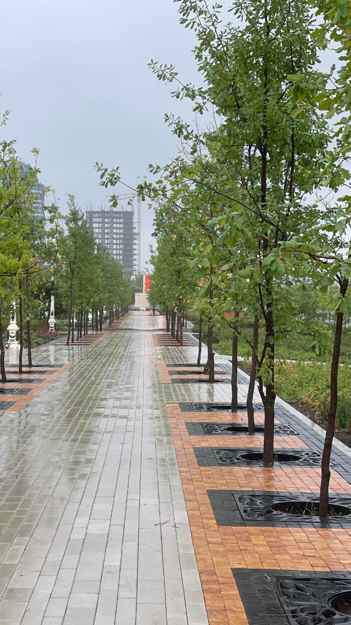 Приствольная решетка для дерева ZKING CRUST 1.2х1.2м Черная в Тюмени фото