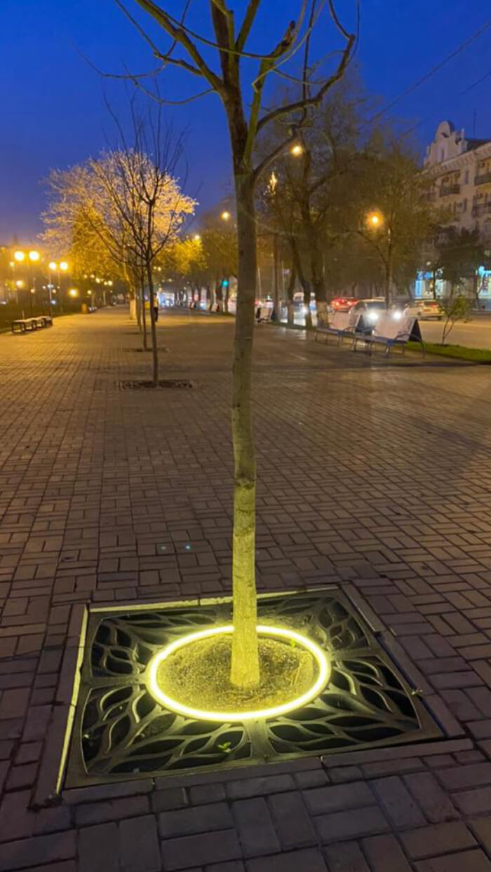 Приствольная решетка для дерева ZKING CRUST 1.2х1.2м Черная в Тюмени фото